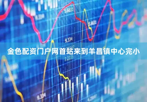 金色配资门户网首站来到羊昌镇中心完小
