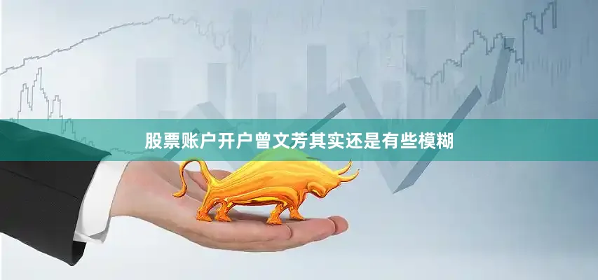 股票账户开户曾文芳其实还是有些模糊