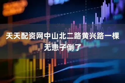 天天配资网中山北二路黄兴路一棵无患子倒了