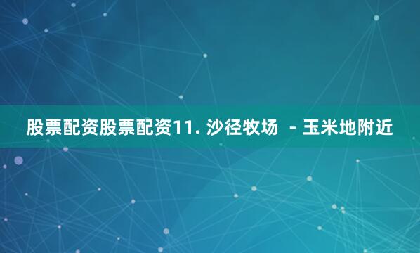 股票配资股票配资11. 沙径牧场  - 玉米地附近