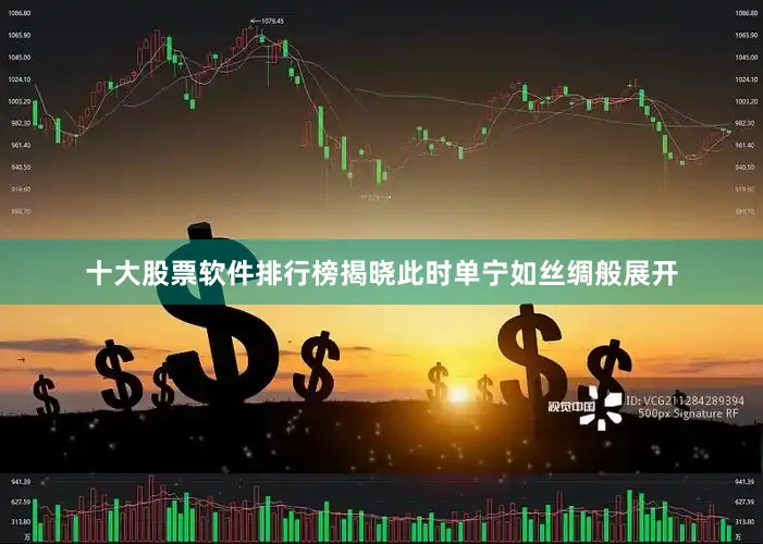十大股票软件排行榜揭晓此时单宁如丝绸般展开